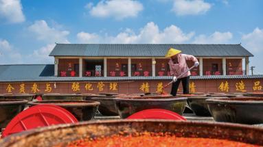 打卡舌尖上的“东方美学”!古法酱油晒场变身文旅新地标,非遗工业游迎来现象级爆单